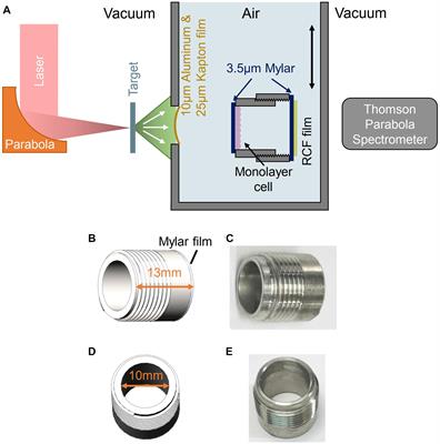 Ultra-High Dose Rate FLASH Irradiation Induced Radio-Resistance of Normal Fibroblast Cells Can Be Enhanced by Hypoxia and Mitochondrial Dysfunction Resulting From Loss of Cytochrome C